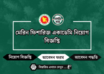 জাতীয় প্রাথমিক শিক্ষা একাডেমি নিয়োগ NAPE job circular 2024