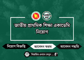 জাতীয় প্রাথমিক শিক্ষা একাডেমি নিয়োগ NAPE job circular 2024