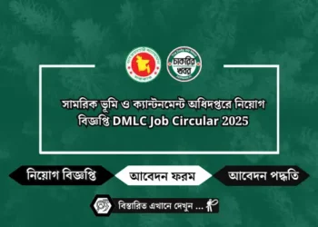 জাতীয় নিরাপত্তা গোয়েন্দা সংস্থা নিয়োগ বিজ্ঞপ্তি NSI Job Circular 2025