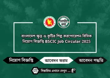 নারায়ণগঞ্জ ডিসি অফিস নিয়োগ বিজ্ঞপ্তি ২০২৫