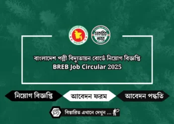 সোশ্যাল ডেভেলপমেন্ট ফাউন্ডেশন নিয়োগ বিজ্ঞপ্তি